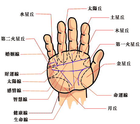 手相图解：如何看婚姻