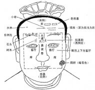 <a href='http://www.dytaisa.com/article/201201/14/2059.shtml'>从手相和面相看阴阳</a>