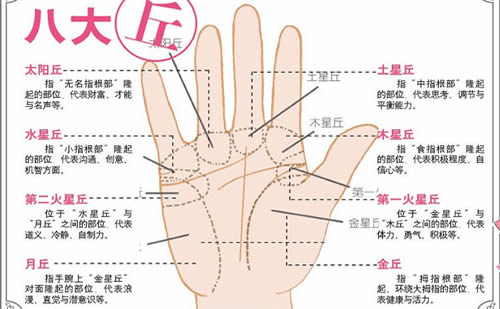 3分钟教你学会手相