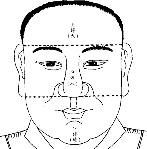 面相算命：三停的看法