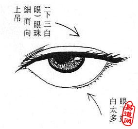 下三白眼