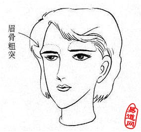 女性眉骨粗